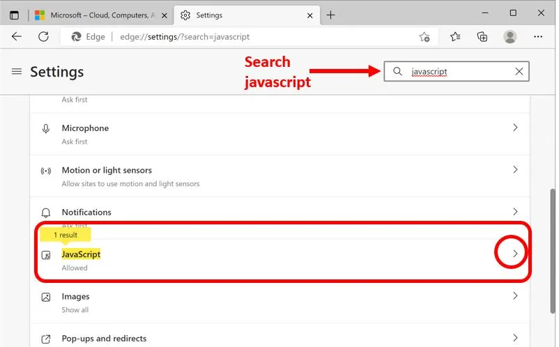 Searching Edge settings for JavaScript