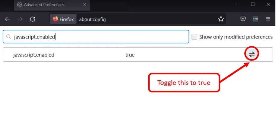 The javascript.enabled setting toggled to true
