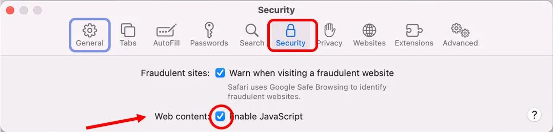 Safari security preferences, with Enable JavaScript checked