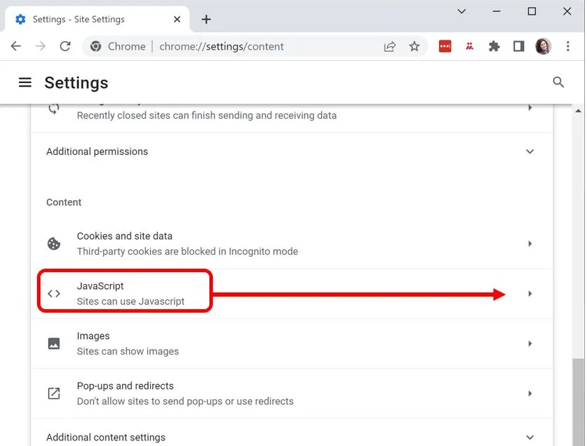 Chrome site settings, with JavaScript allowed