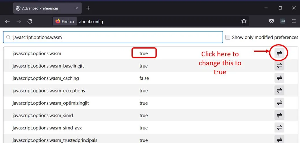 The javascript.options.wasm setting toggled to true